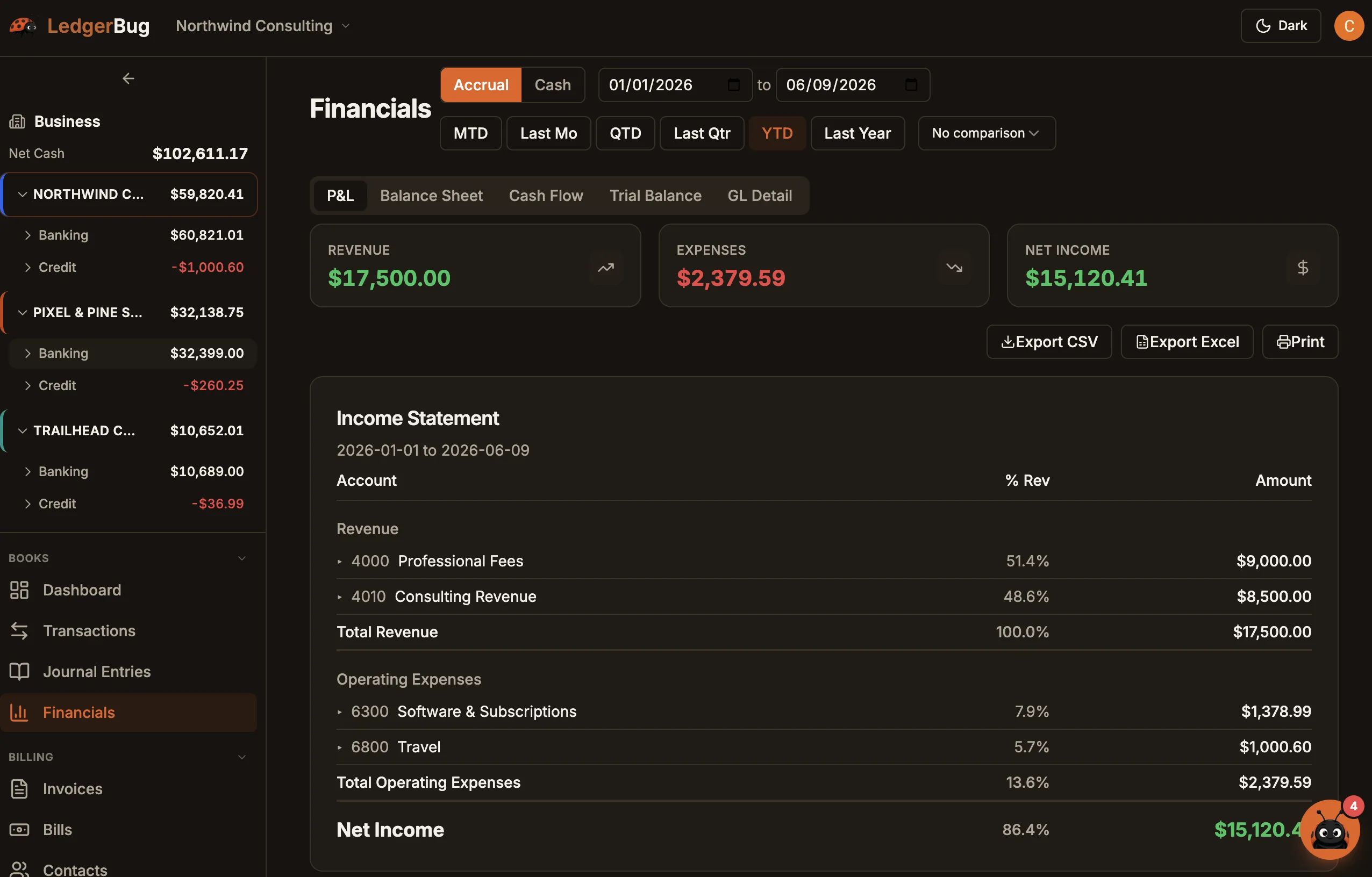 LedgerBug Financials: an income statement with accrual/cash toggle and export options